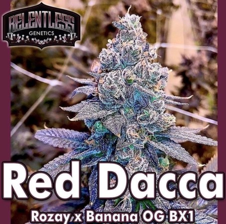 REDDACCA