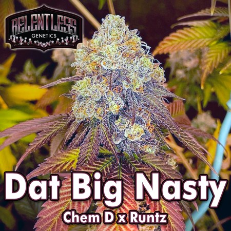 dat-big-nasty