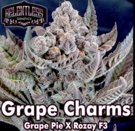 grapecharms