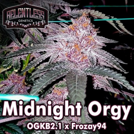midnight-orgy