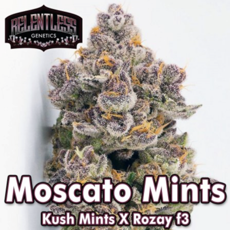 moscatomints